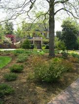 Mulched Area, Angels of Earth Pinestraw & Mulcho